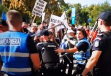 Miza din spatele violențelor din Piața Victoriei: Cum riscă o criză sanitară să înghită afaceri de sute de milioane și de ce acuză fermierii deturnarea protestului